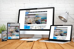 京東小皮二手商品專營店平板電腦評測 計算機軟硬件及輔助設備批發視角